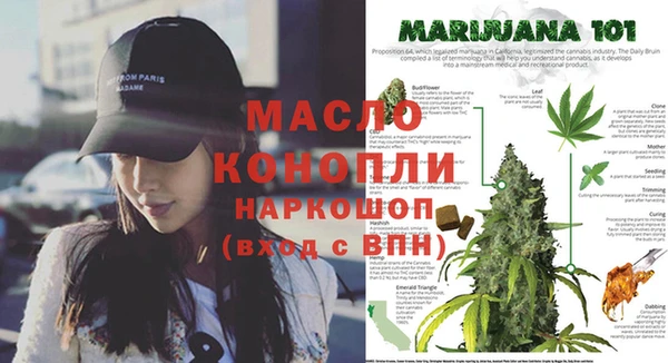 тгк Иннополис