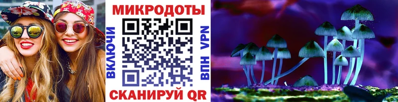 Галлюциногенные грибы прущие грибы  Купить  Гуково 