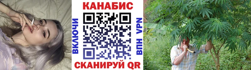 Купить где  Гуково  Бошки Шишки ГИДРОПОН 